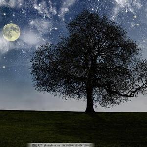 俄罗斯尺寸天花板免费
